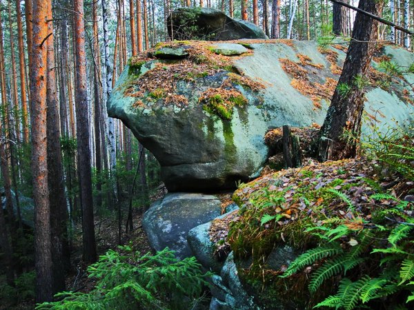 Мегалит-парк «Аркаим»: место проявления лучшей жизни - фото 4