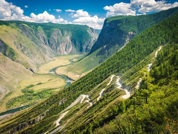 Из Новосибирска в Горный Алтай. Путешествие по топовым локациям - фото 2