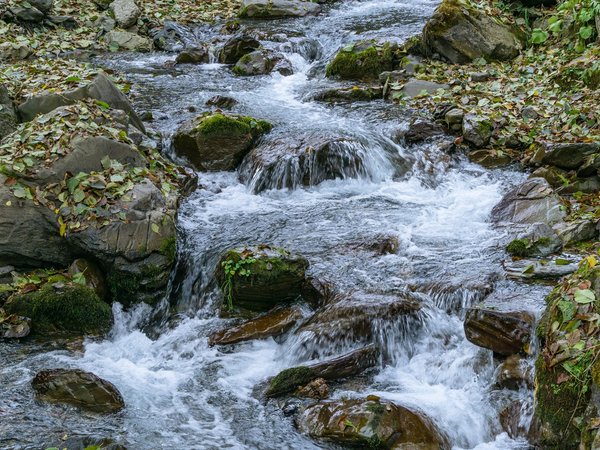 Лёгкий треккинг к водопаду Красной Поляны - фото 3