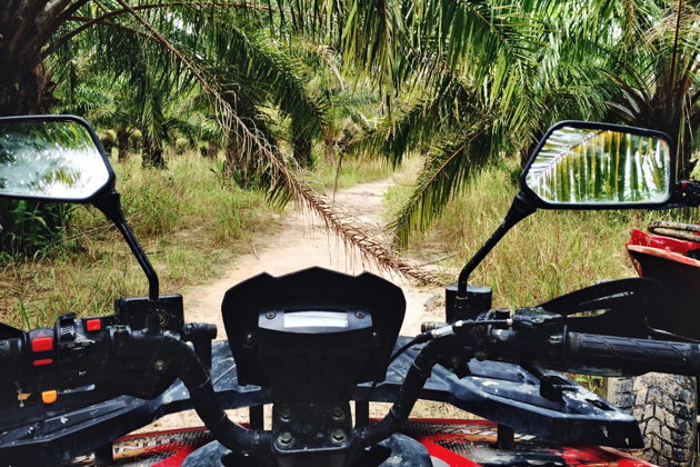 Фото экскурсии - Активный отдых на Пхукете: зиплайн, квадроциклы и прогулки на слонах - 5