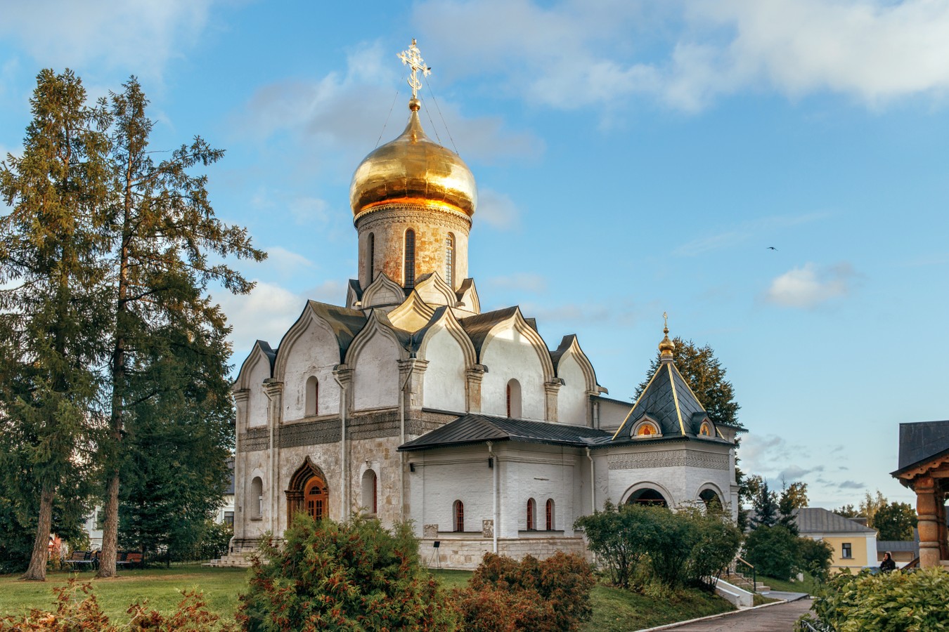 В гости к дубам и котам: семейная прогулка по Звенигороду (на вашем авто или такси)