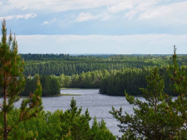 Карельский уикенд: автобусно-пешеходный тур с посещением о. Кижи - фото 4