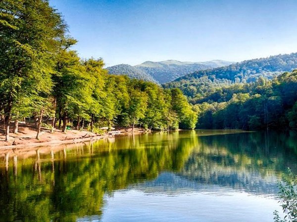 Однодневная пешая экскурсия по Дилижанскому парку - фото 3