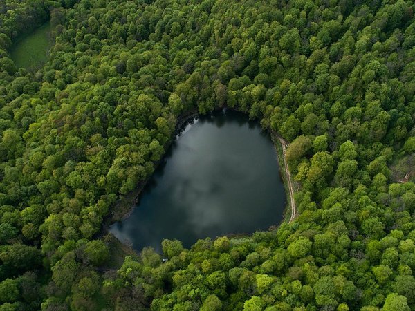 Однодневная пешая экскурсия по Дилижанскому парку