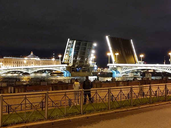 Неспящие в Петербурге - фото 1