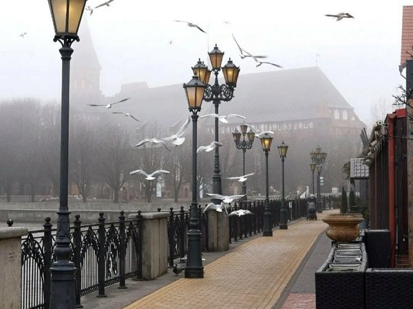 Ваш день в Калининграде или области: экскурсия-конструктор