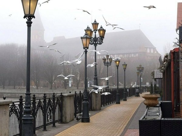 Ваш день в Калининграде или области: экскурсия-конструктор - фото 1