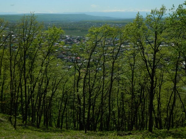 Майкоп: встреча с горами - фото 2