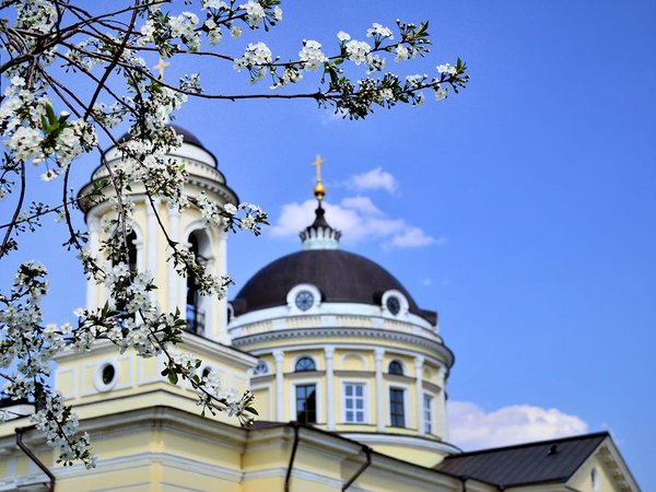 Околоколомна: Шкинь - фото 1