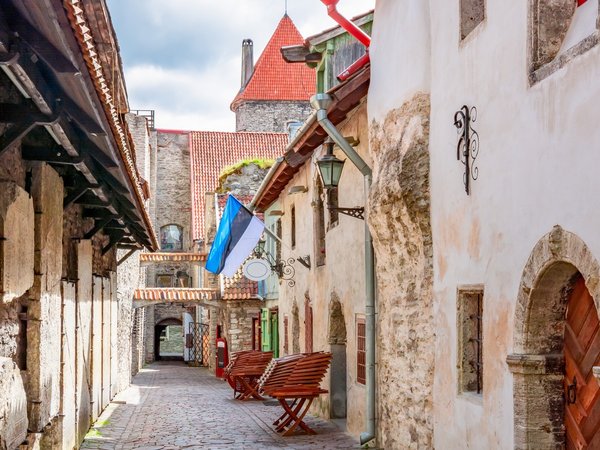 Таллинские были и небыли: экскурсия для детей 7–15 лет - фото 3