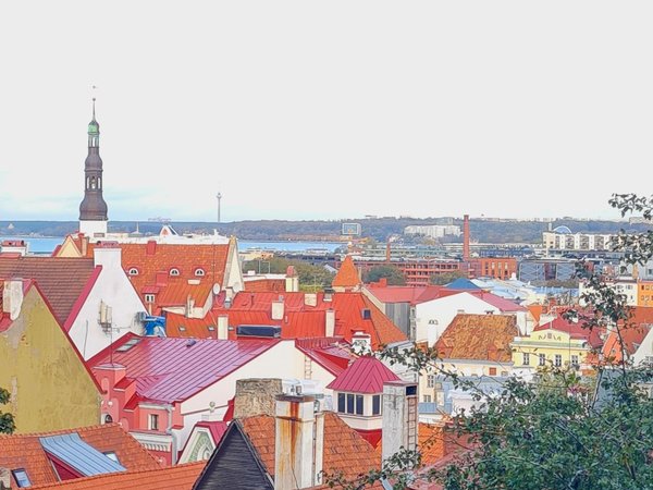 Таллинские были и небыли: экскурсия для детей 7–15 лет - фото 2