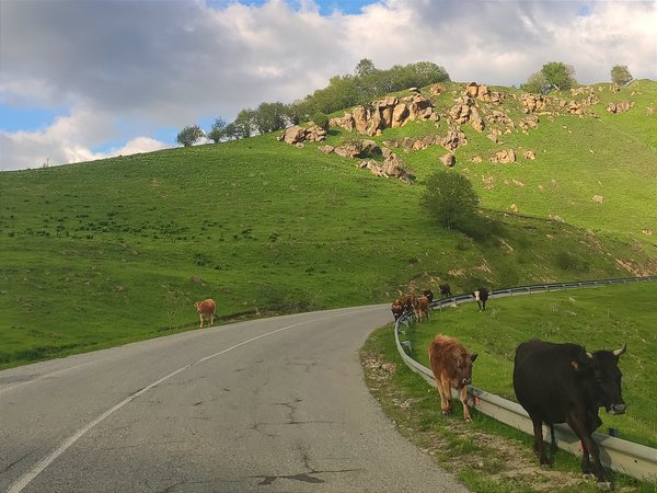 Живописная Карачаево-Черкесия — за 1 день! Из Железноводска - фото 2