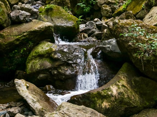 Великолепная Горная Аджария в мини-группе - фото 4