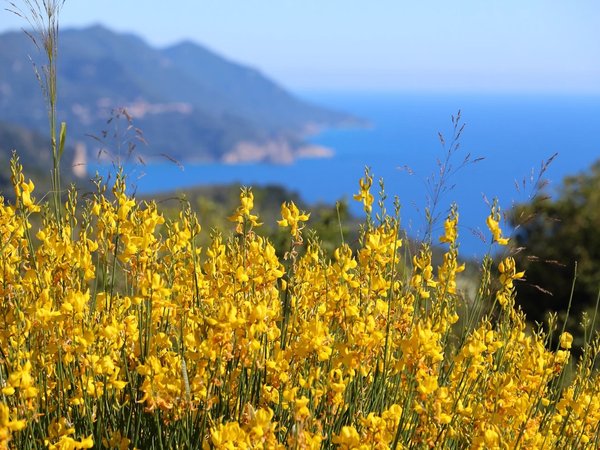 Корфу с высоты - фото 3