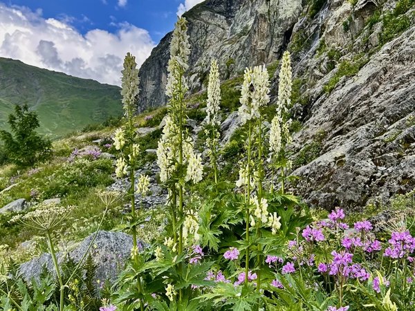 Софийские водопады: холодное сердце Архыза - фото 2