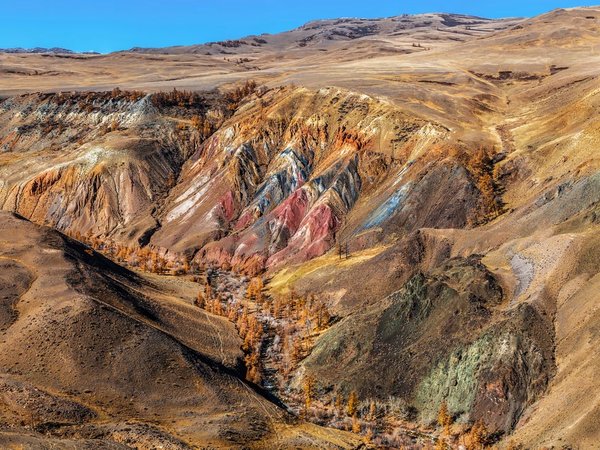 Знаковые места Чуйского и Чемальского трактов: главное в Горном Алтае - фото 3