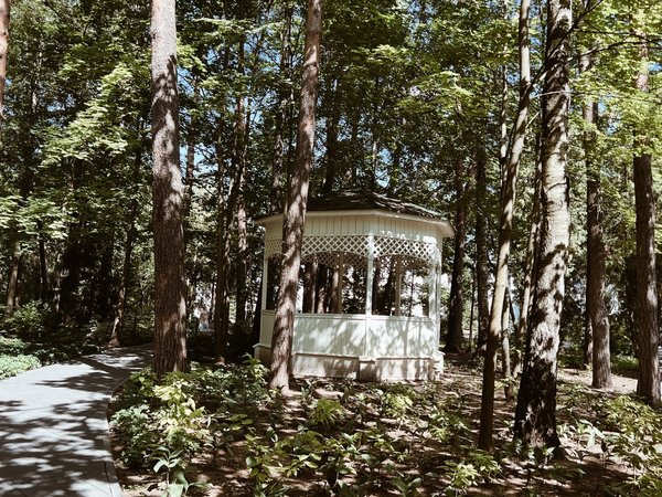 Литературный квест «Так вышло, что живу я в Переделкино» - фото 4