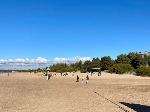 Приморский Парадиз — Сестрорецк, Репино, Комарово и Зеленогорск - фото 2