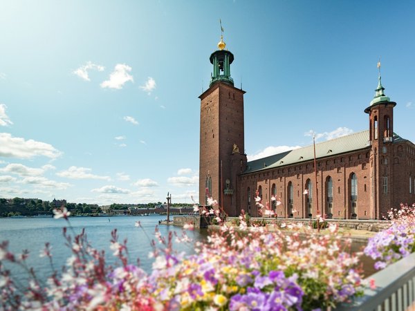 Стокгольмская Ратуша – лебедь, плывущий по воде - фото 1