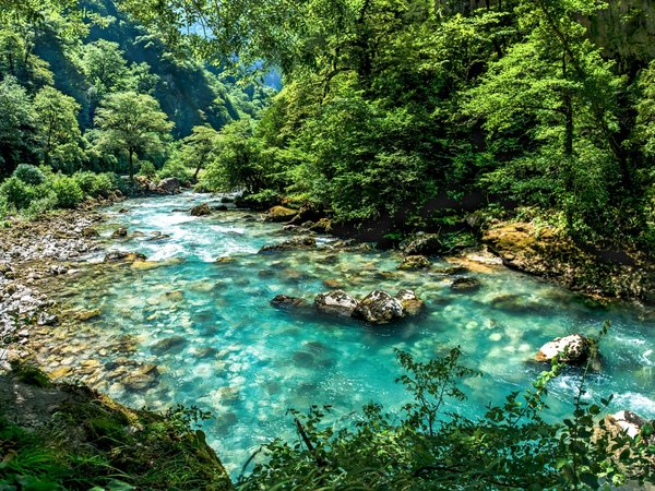 Озеро Рица и Гегский водопад на внедорожнике - фото 2