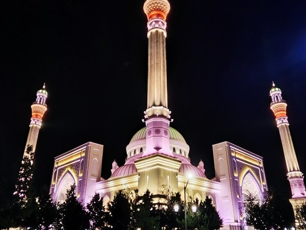 Из Ессентуков — в дневной и вечерний Грозный, Аргун и Шали - фото 2