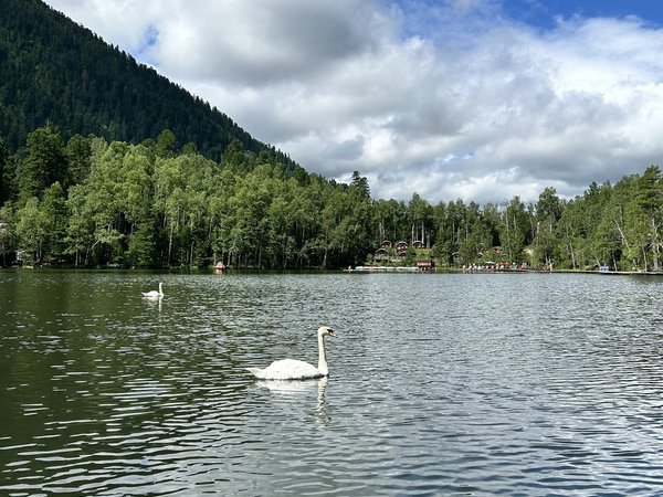 Из Иркутска в экопарк «Южный Байкал» - фото 1
