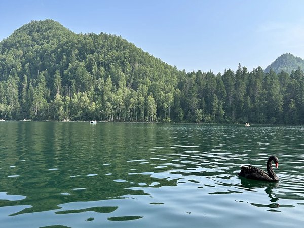Из Иркутска в экопарк «Южный Байкал» - фото 2