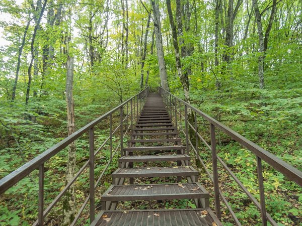 В Адыгею! Вершина Физиабго, святые места и термы - фото 4