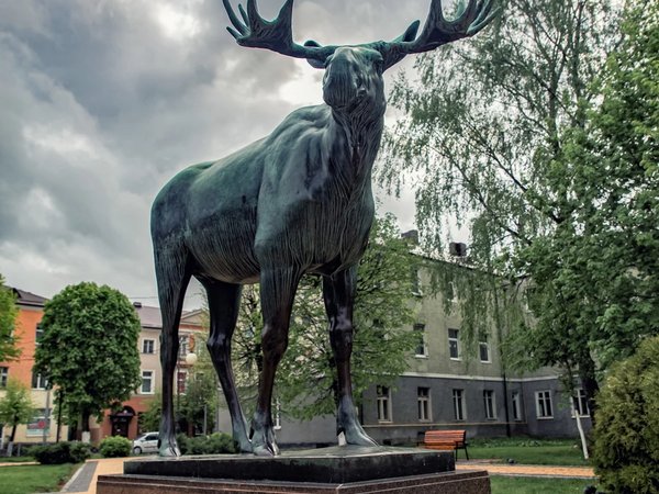 Пять городов или «Война и мир» в Калининградской области (в группе) - фото 3
