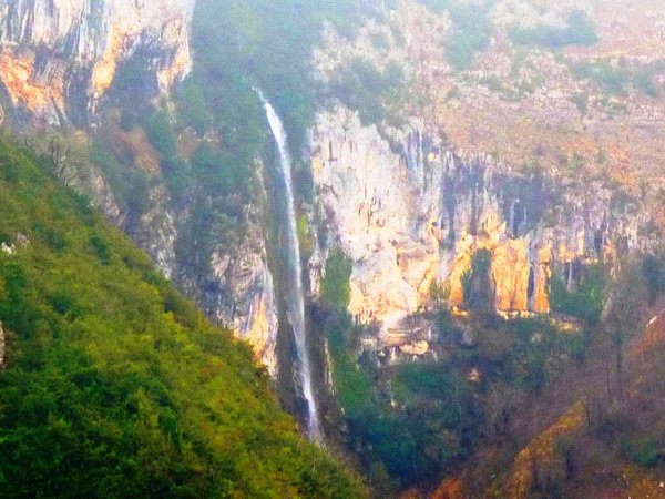 Винные реки, сырные берега - фото 2