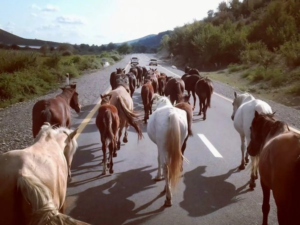 Древняя Шемаха, ремесленный Лагич и православная деревня Ивановка — из Баку - фото 1