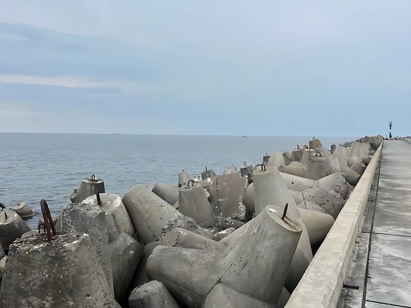 Куршская и Балтийская: 2 косы за 1 день — из Калининграда - фото 3