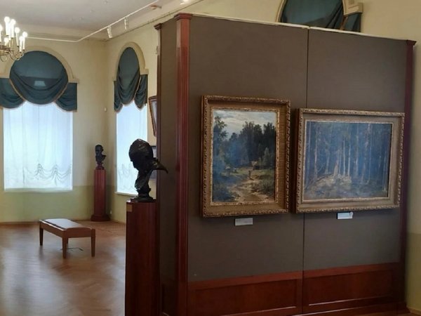 Музей изобразительных искусств в компании с аудиогидом - фото 4