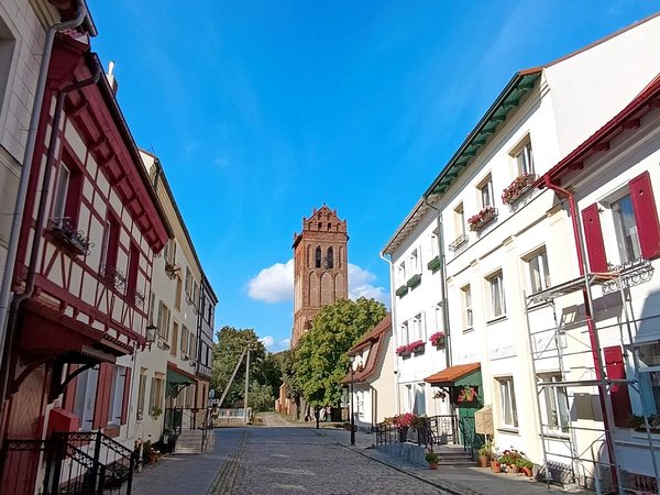 В поисках приключений: на медовых лугах Бартии - фото 2