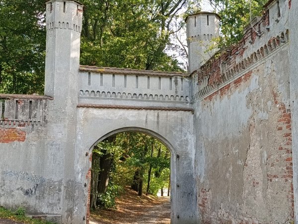 В поисках приключений: на медовых лугах Бартии - фото 3