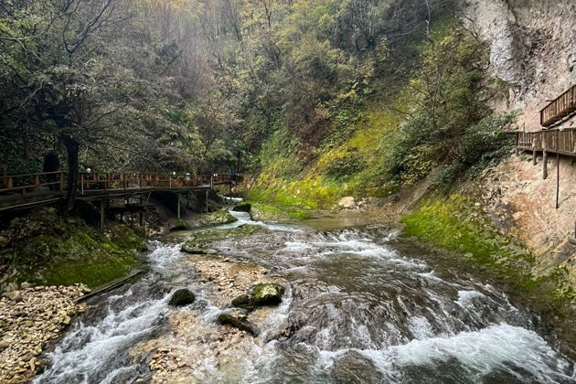 Фото экскурсии - Прогулка по Сухуму, Черниговке и термальному источнику Кындыг - 7