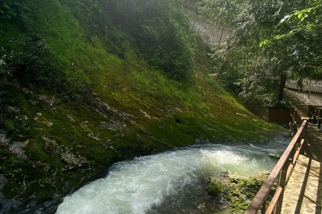 Фото экскурсии - Прогулка по Сухуму, Черниговке и термальному источнику Кындыг - 8