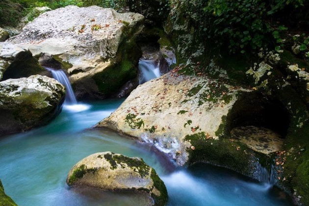 Фото экскурсии - Прогулка по Сухуму, Черниговке и термальному источнику Кындыг - 9