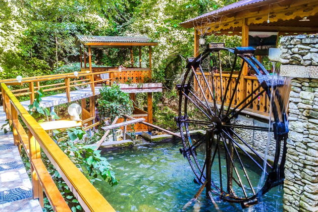 Фото экскурсии - Прогулка по Сухуму, Черниговке и термальному источнику Кындыг - 13