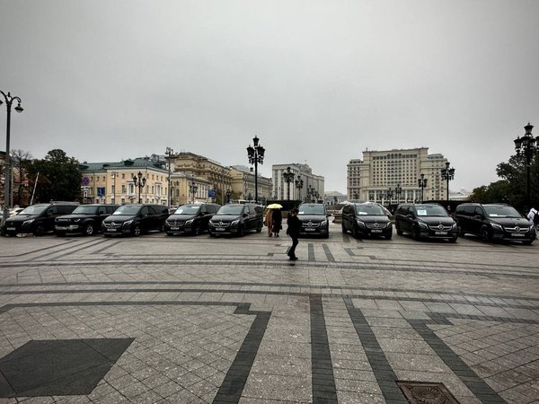 Трансфер из аэропорта Москвы на Mercedes-Benz V-класса - фото 4