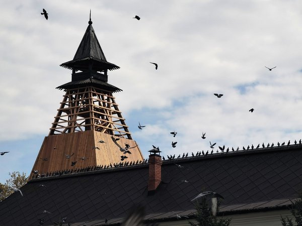 Из Калуги — в древний центр старообрядчества Боровск - фото 4