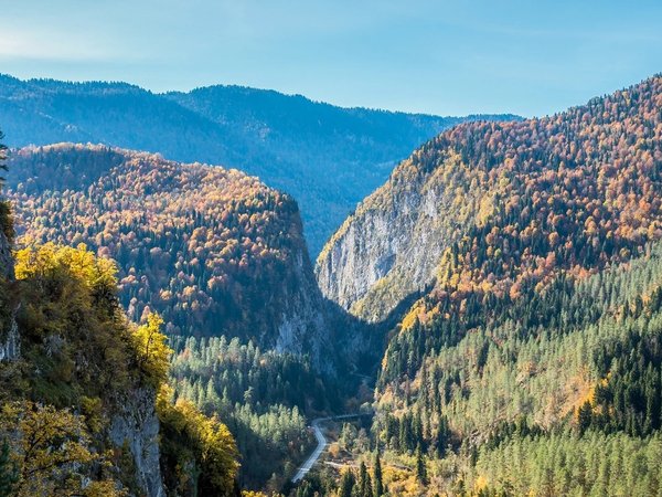 Душевная экскурсия в сердце Абхазии (из Пицунды) - фото 4