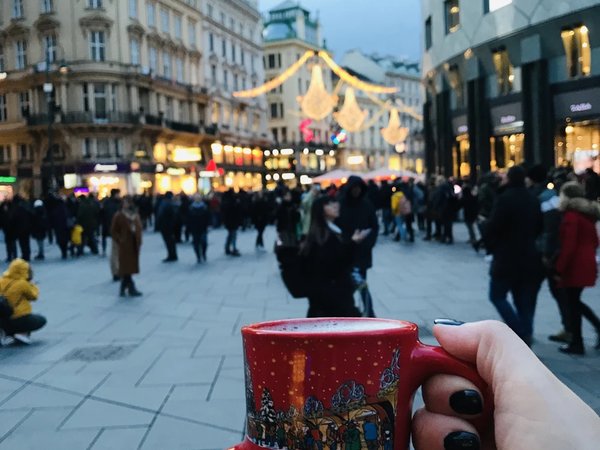 Прага — Вена: экскурсия в имперскую столицу - фото 4