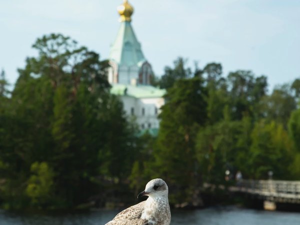 Фото туриста - 6