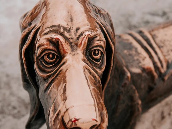 «Найди то, не знаю что...» — экскурсия по Костроме для детей 7-12 лет