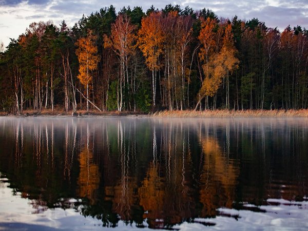 Замок Инстербург и Роминтская пуща. Фотопутешествие во времени - фото 2