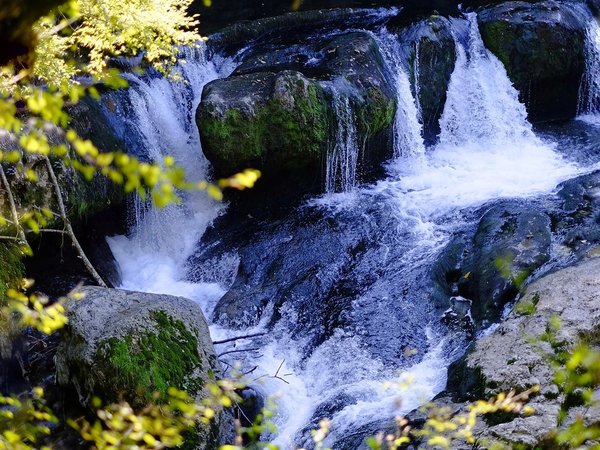 Из Батуми — в край каньонов, пещер и монастырей - фото 3
