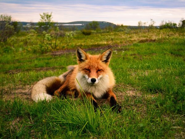 Экстремальная экспедиция на вездеходах: 1000 км вдоль Баренцева и Белого морей (всё включено) - фото 2
