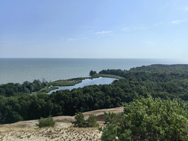 Из аэропорта — на Куршскую косу, в Зеленоградск и форт «Штайн» - фото 2