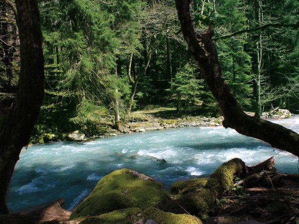 Гегский водопад и Рица: на внедорожнике по топовым местам Абхазии из Сухума - фото 3